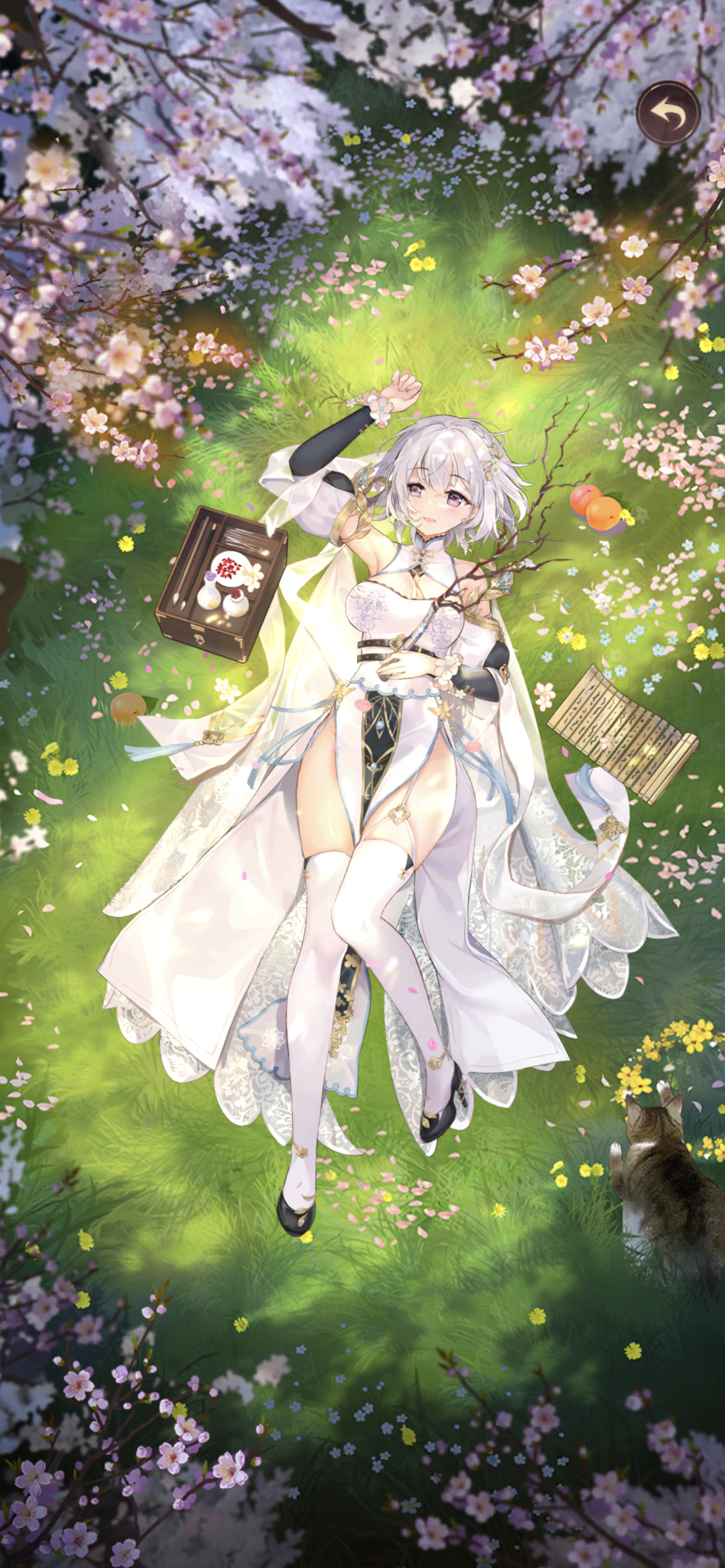 副将UR65董奉.jpg 副将UR65董奉.jpg